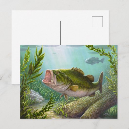 Bass Fish Postkarte (Vorne/Hinten)