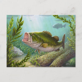 Bass Fish Postkarte