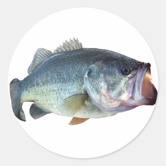 Bass Fish Runder Aufkleber (Vorderseite)