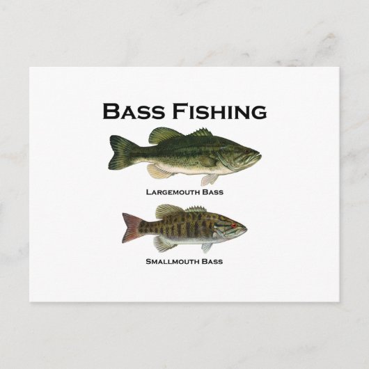 Bass Fishing-Logo (Largemouth - Mund) Postkarte (Vorderseite)