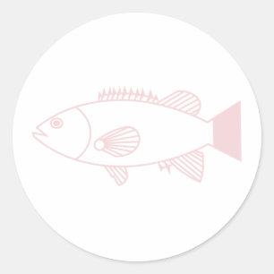 Bass Groper Fisch in Pastellrosa auf Weiß Runder Aufkleber