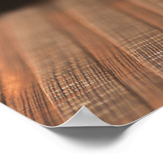 Bass Guitar 3 Poster (Ecke)