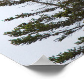 Bass-Hafen Head Light-Poster - 3 Poster (Ecke)