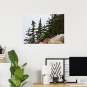 Bass-Hafen Head Light-Poster - 3 Poster (Heimbüro)