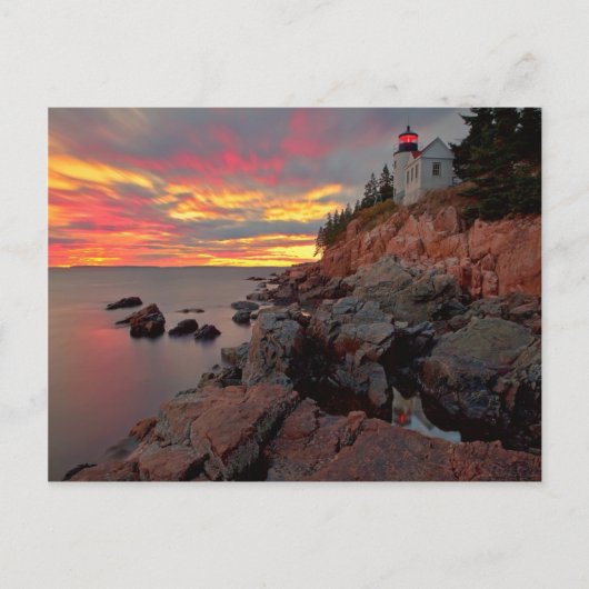 Bass Harbour Head Lighthouse Postkarte (Vorderseite)