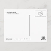 Bass Harbour Marsh Postcard Postkarte (Rückseite)