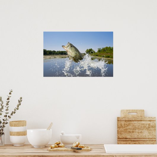 Bass Jump 2013 Poster (Küche)