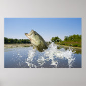 Bass Jump 2013 Poster (Vorne)