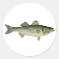 Bass-Logo