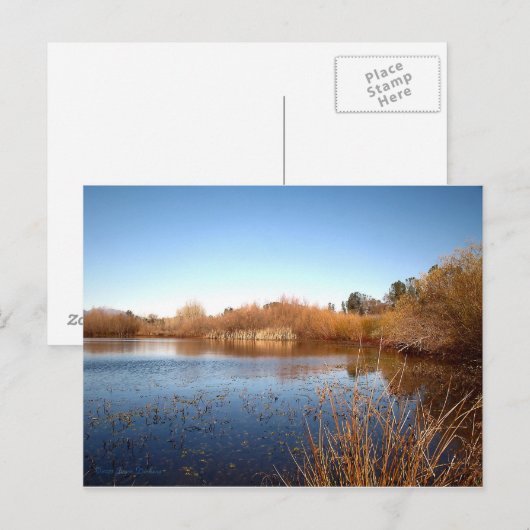 Bass Pond One Postkarte (Vorne/Hinten)