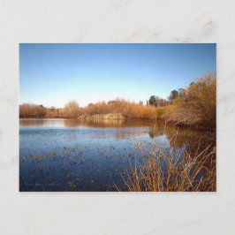 Bass Pond One Postkarte