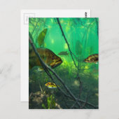 Bass Postkarte (Vorne/Hinten)