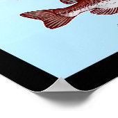 Bassarten im Südosten Poster (Ecke)