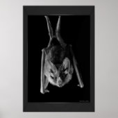 Bassdrucke Poster (Vorne)