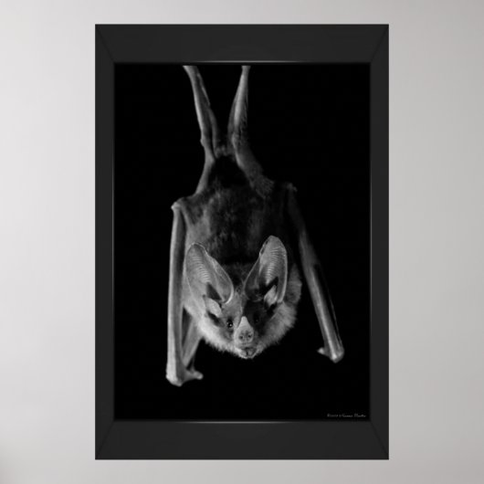 Bassdrucke Poster (Vorne)