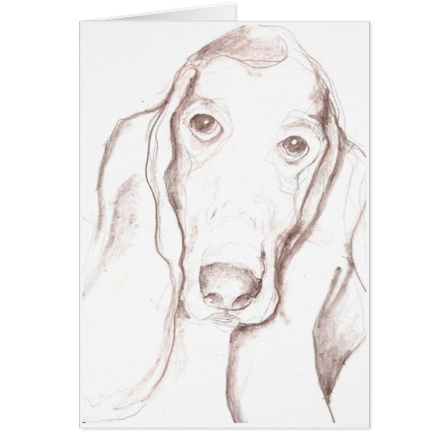 Basset (Vorne)
