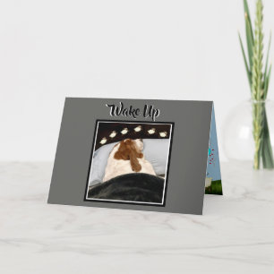 Basset "Counting Sheep" auf der sonnigen Geburtsta Karte