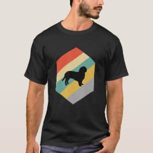 Basset Fauve De Bretagne Dog Vintages Design T-Shirt