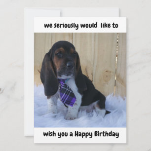 Basset Happy Birthday Card