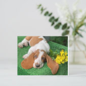 Basset Happy Geburtstagskarte Postkarte (Stehend Vorderseite)