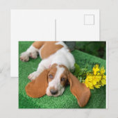 Basset Happy Geburtstagskarte Postkarte (Vorne/Hinten)