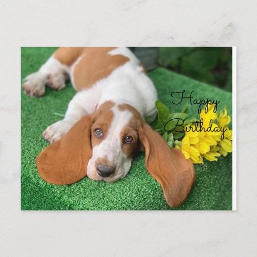 Basset Happy Geburtstagskarte Postkarte (Vorderseite)