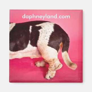 Basset Hintern Magnet