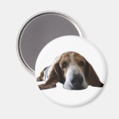 Basset Hop liegen Magnet (Vorderseite/Rückseite)