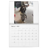 Basset-Hosting-Kalender Kalender (Feb 2027)