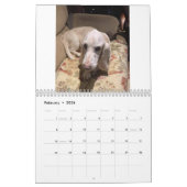 Basset-Hosting-Kalender Kalender (Feb 2026)