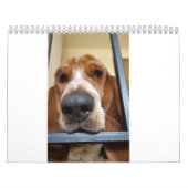 Basset-Hosting-Kalender Kalender (Titelbild)