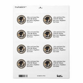 Basset Hound (Vorne)