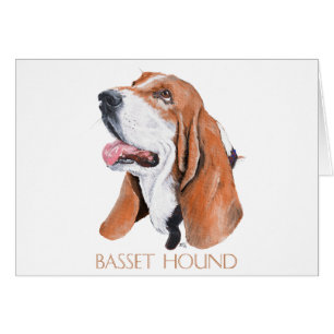 Basset Hound