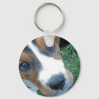 Basset Hound 02 Schlüsselanhänger