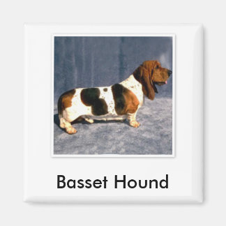 basset_hound 2, Basset Hound Magnet