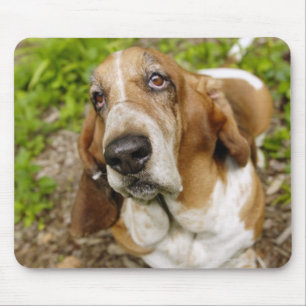 Basset Hound 2 Mousepad