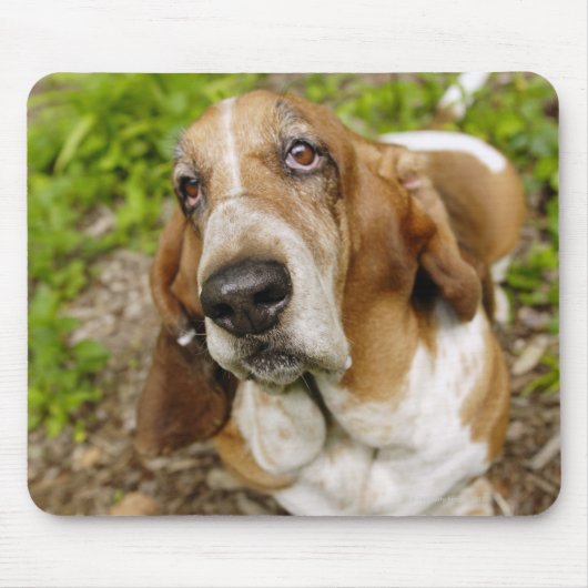 Basset Hound 2 Mousepad (Vorne)