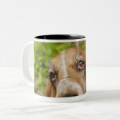 Basset Hound 2 Zweifarbige Tasse (Vorderseite Links)
