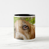 Basset Hound 2 Zweifarbige Tasse (Mittel)