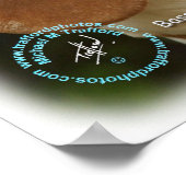 Basset Hound 9L9D-22_2 Poster (Ecke)