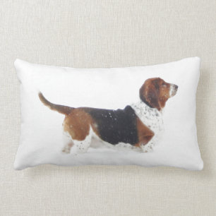 Basset Hound auf lumbalem Kissen