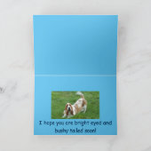 Basset Hound bekommt eine gute Karte. Karte (Innenseite)