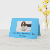 Basset Hound bekommt eine gute Karte. Karte (Gelbe Blume)