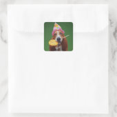 Basset Hound Birthday Lollipop Quadratischer Aufkleber (Tasche)
