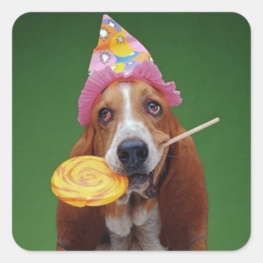 Basset Hound Birthday Lollipop Quadratischer Aufkleber (Vorderseite)