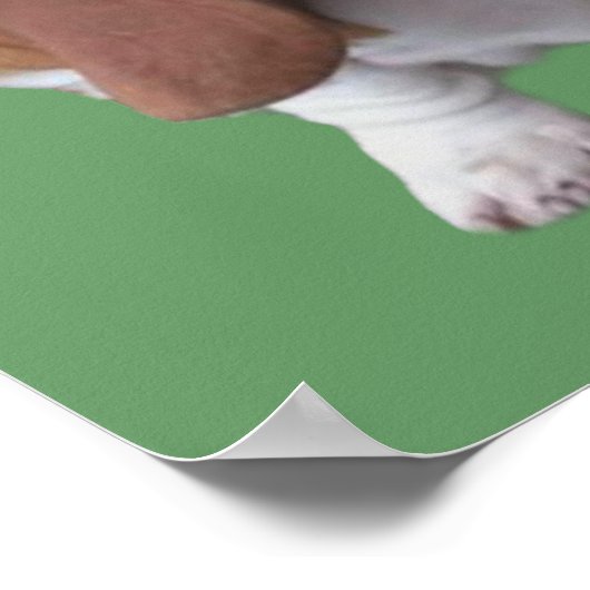 Basset Hound Buddies drucken Poster (Ecke)