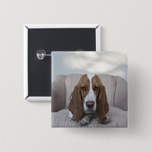 Basset Hound Button (Vorne & Hinten)