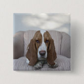 Basset Hound Button (Vorderseite)
