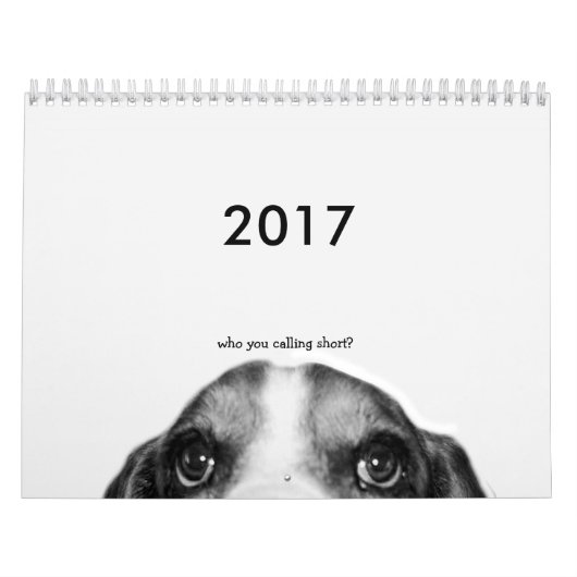 Basset Hound Calendar 2017 Kalender (Titelbild)