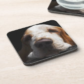 Basset Hound, das seinen Kopf stillsteht Getränkeuntersetzer (Linke Seite)